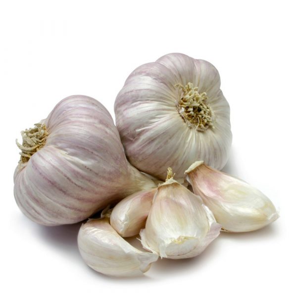 10717-garlic